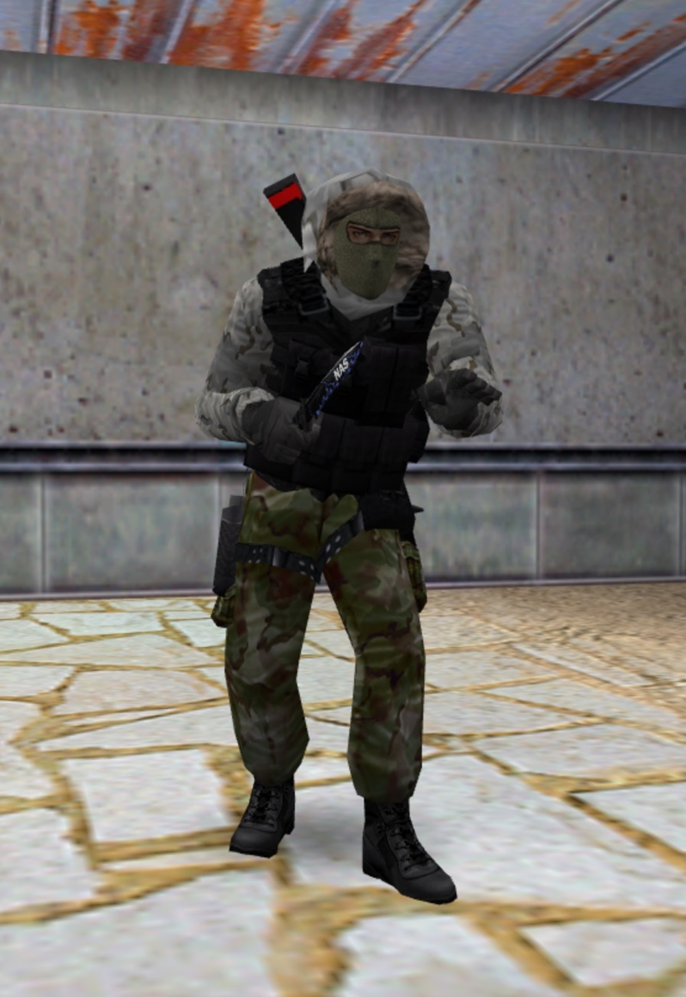 Avalanche_T
