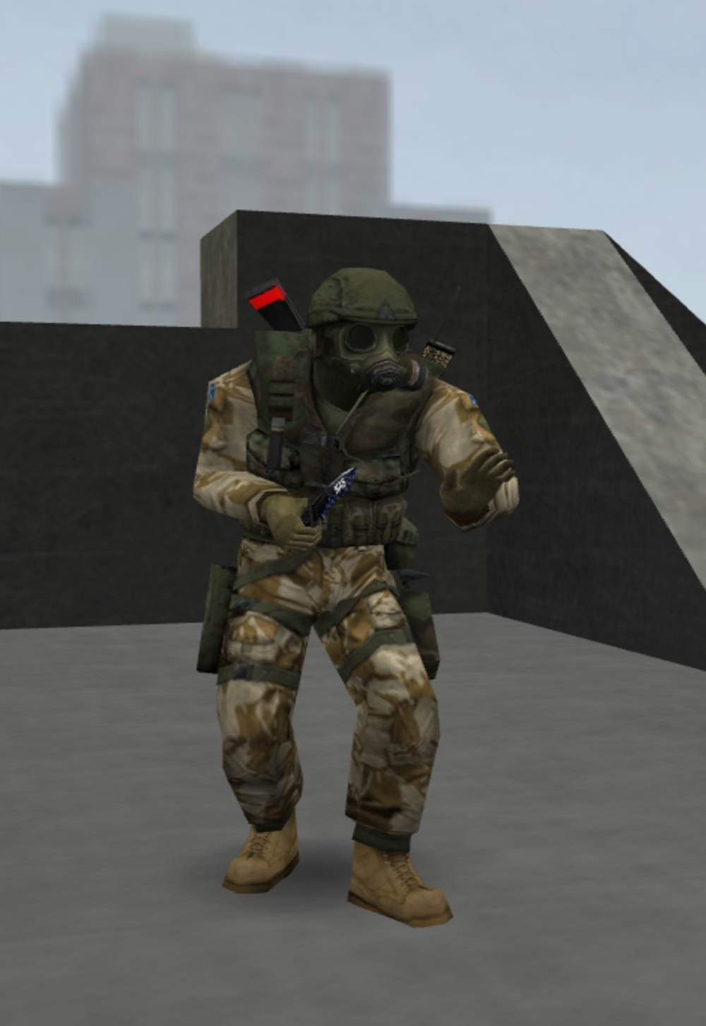 SasCamo_CT